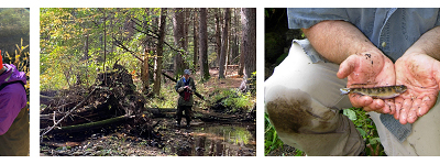NRWA Protecting Coldwater Fish: Locating Refugia