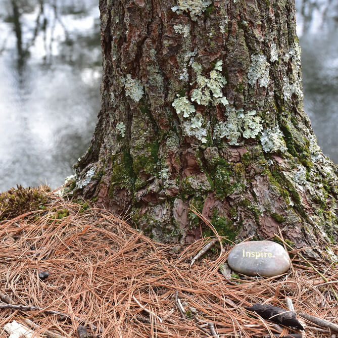 Tree with Inspire stone