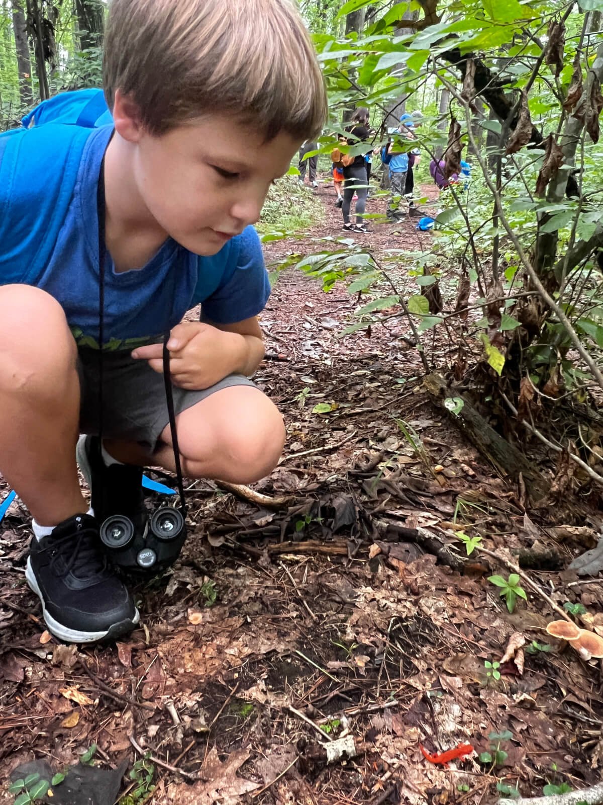Eco-Adventures
