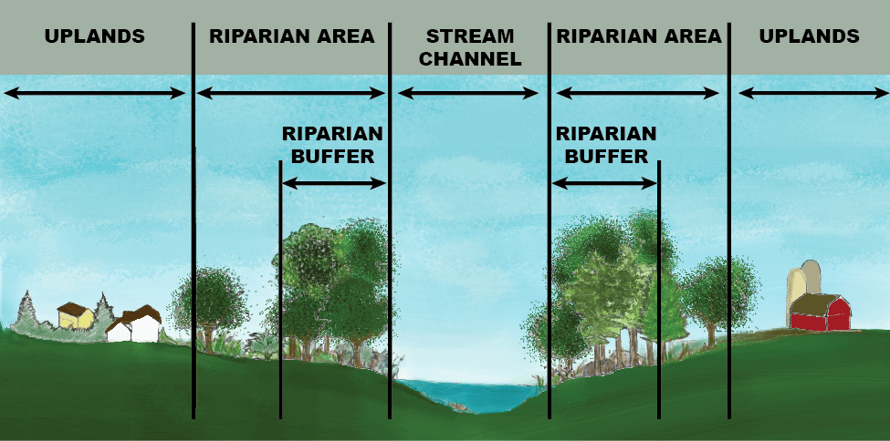 Goal D1 1st objective riparian buffer graphic by US EPA
