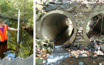 Culvert Assessment for Wildlife Passage and Climate Resiliency