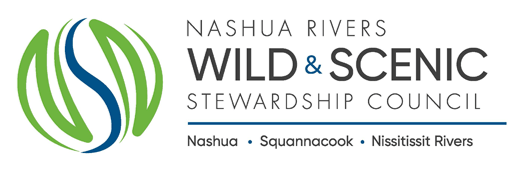 NSN logo
