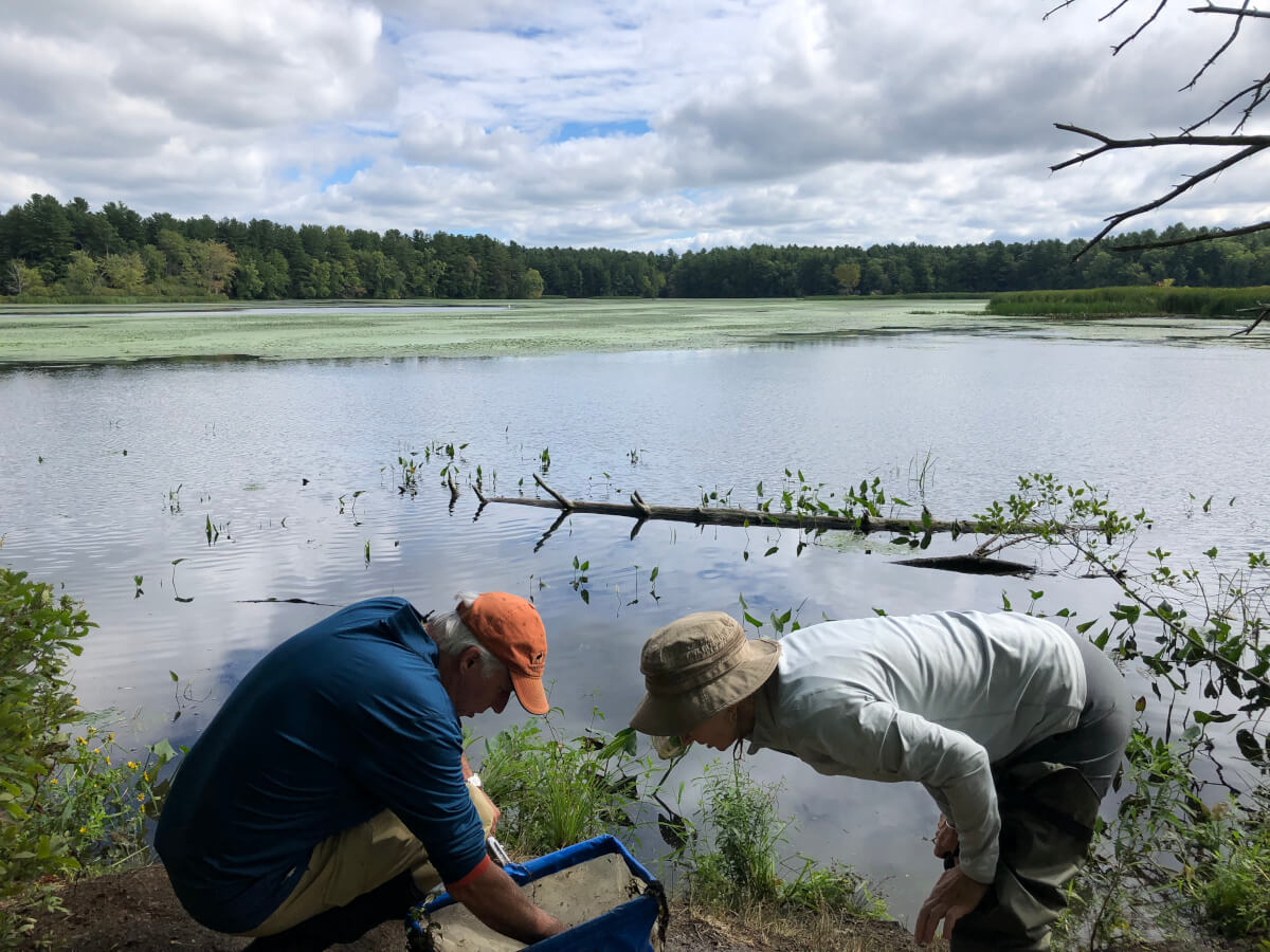 Nashua Pepperell Pond Nashua mainstem