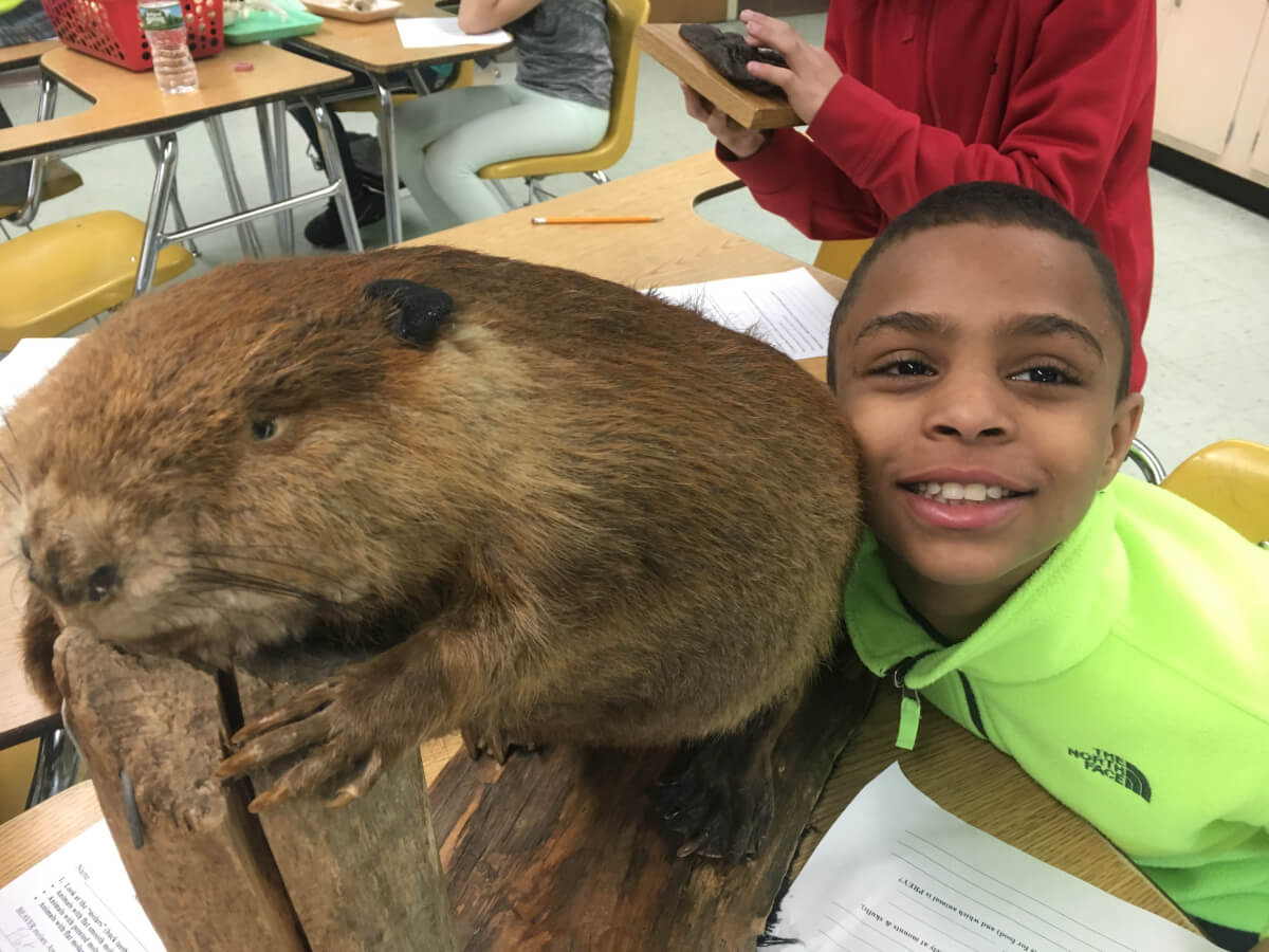 Child Smiling with Woodchuck