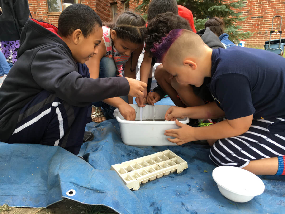 Children Working together on Science
