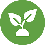 Legacy icon