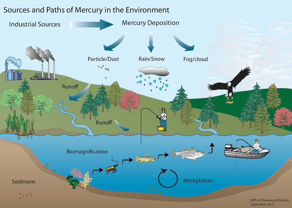 mercury deposition graphic NPS