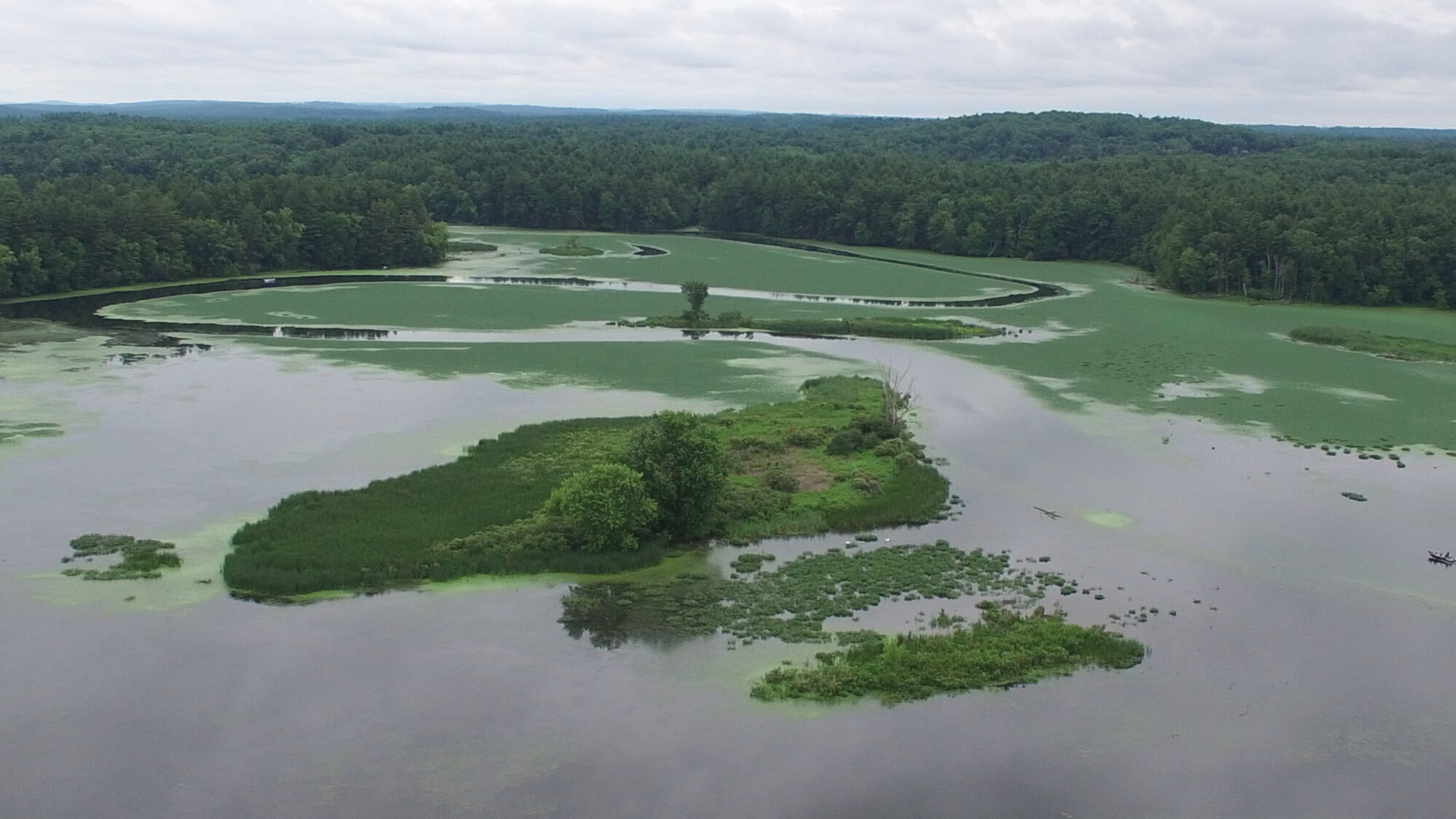 Nashua River at Pepperell Pond by Will Stevenson