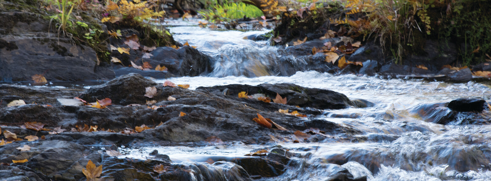 page 121 ORRV 2 Goal A2 headwaters by Cindy Knox Photography