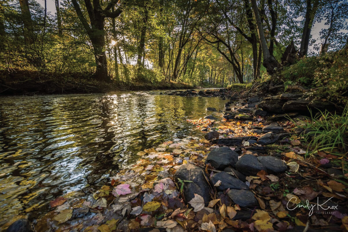 Squannacook River by Cindy Knox Photography