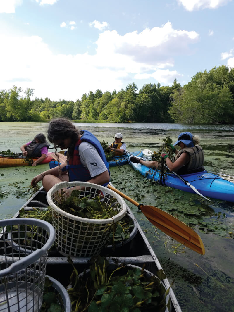 River cleanup effort