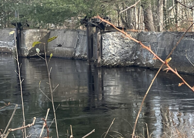 Whitney Pond Dam Removal & River Restoration Project: Ashburnham