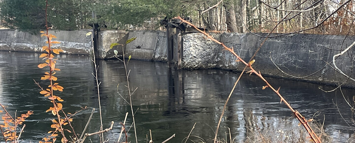 Whitney Pond Dam Removal & River Restoration Project: Ashburnham