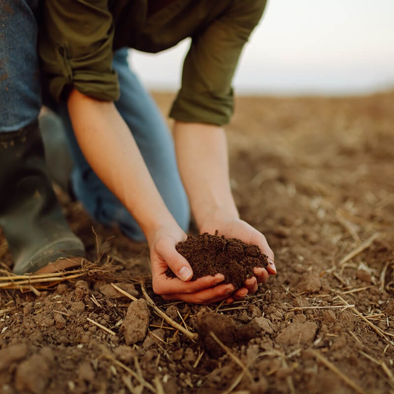 Importance of Soils for Nature-based solutions for climate resilience