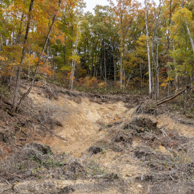 Degraded Landscape