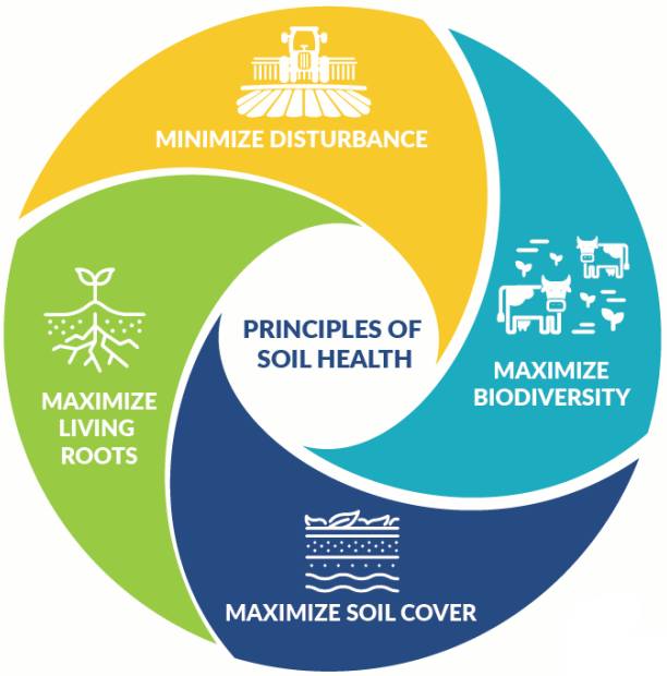 Soil Health - US Department of Agriculture Soil Health
