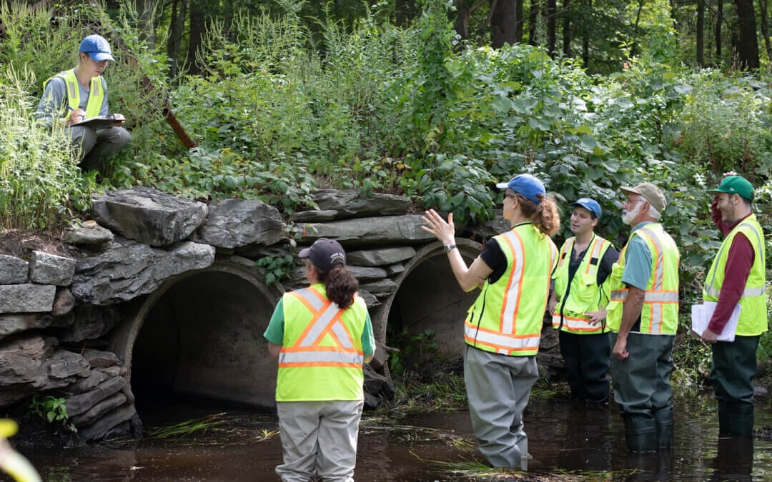 Ecological Restoration: Importance of Stream Crossing Assessments