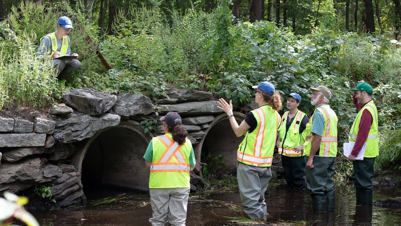 McTaggarts-dam-project-hero-1 WPI students looking through a stream culvert