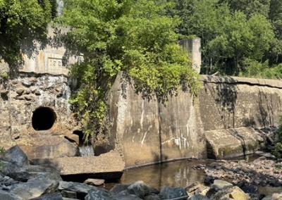 McTaggart’s Pond Dam Removal & Phillips Brook Restoration Project: Fitchburg